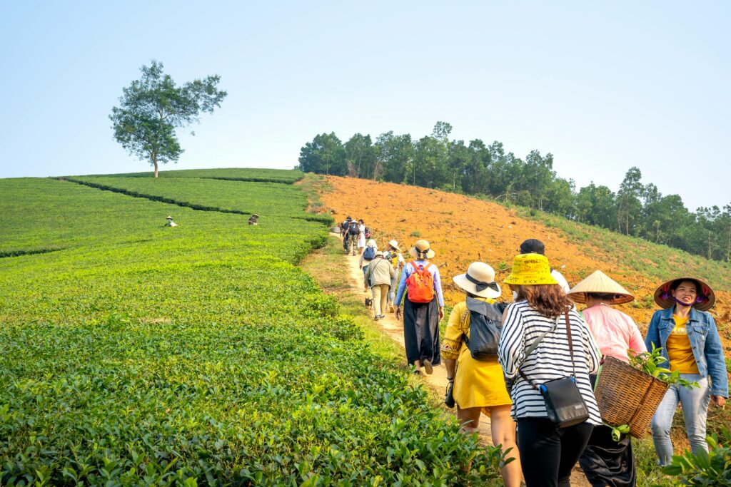 pexels-quang-nguyen-vinh-6130145